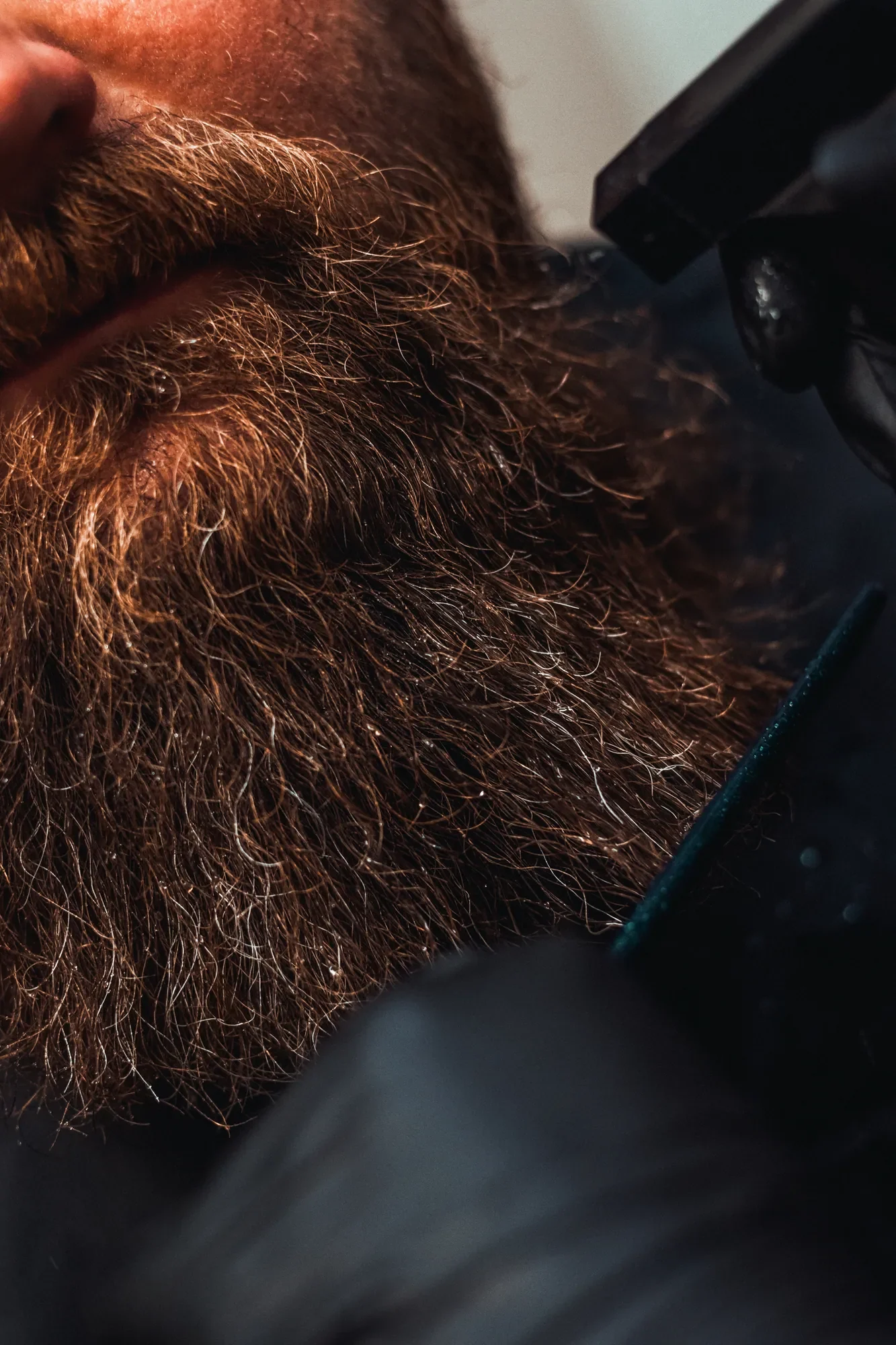 Detail pečlivě upraveného plnovousu – ukázka práce barbershopu Medusa Barber v Plzni